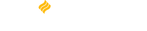 Davis Wagon Services logo